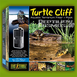 exo-terra-turtle-cliff-wasserschildkröten